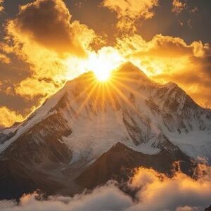 Meet your Posher, Aliesha